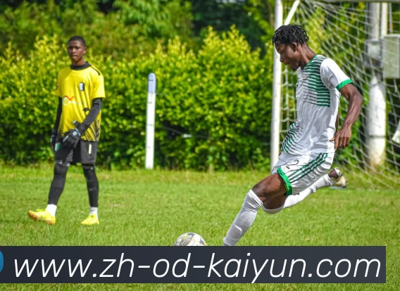 开云app品牌故事