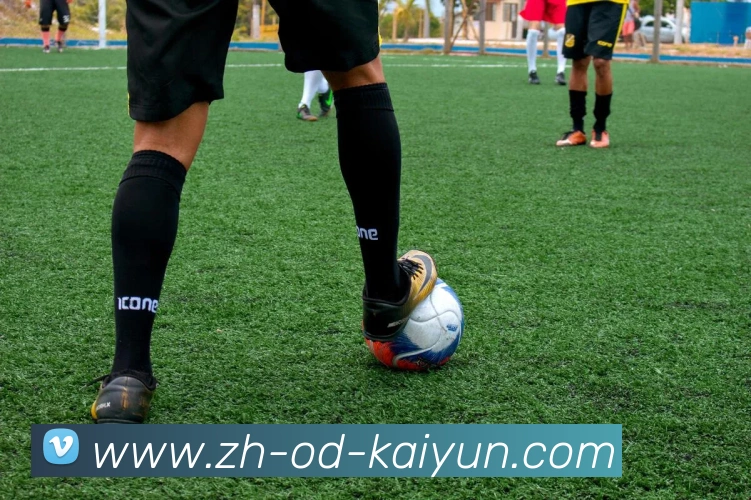 开云app服务体系